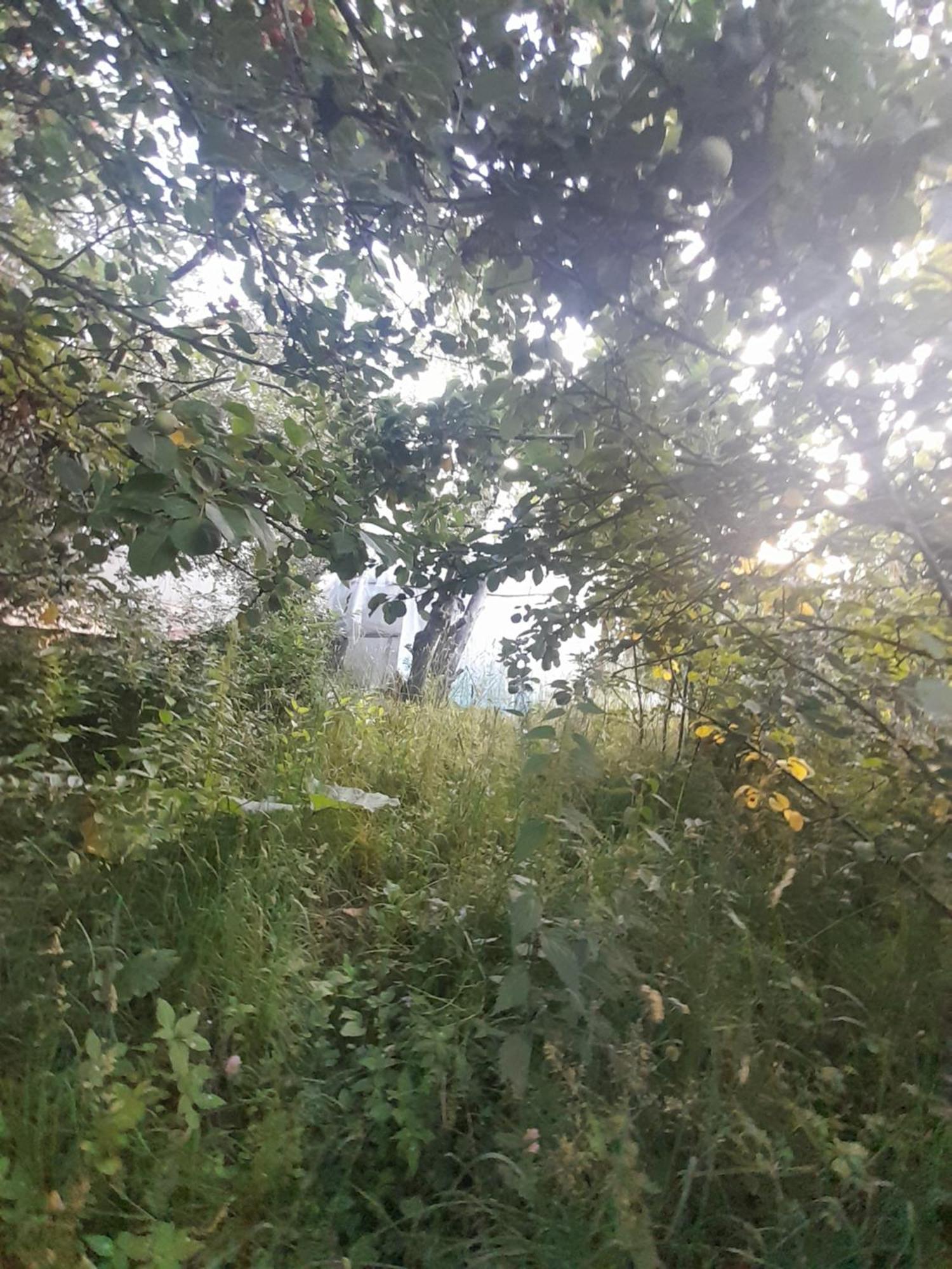 Waterfall In The Yard Karakol Ngoại thất bức ảnh